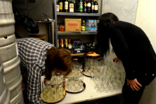 PPEfinale13_02