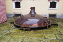 Trebon_2024_03